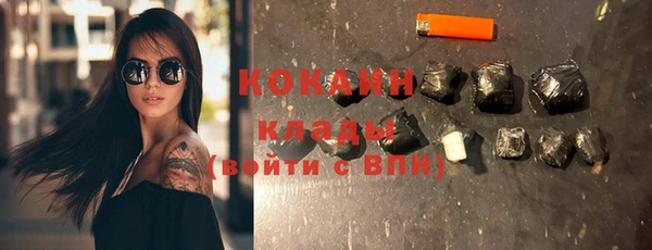 индика Абаза
