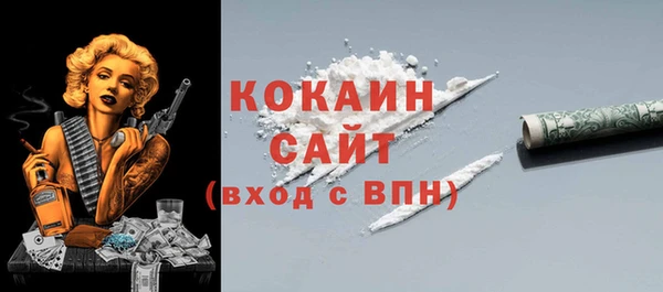 индика Абаза