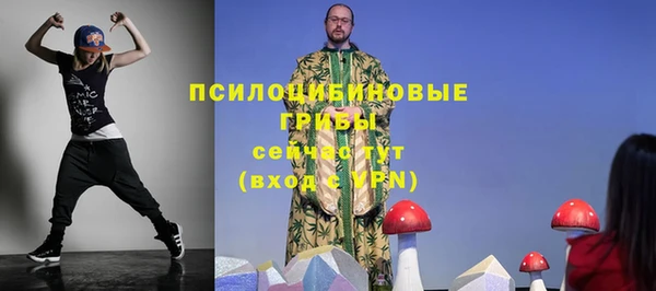 индика Абаза