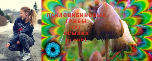 jwh Дмитриев