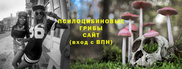 2c-b Алексин