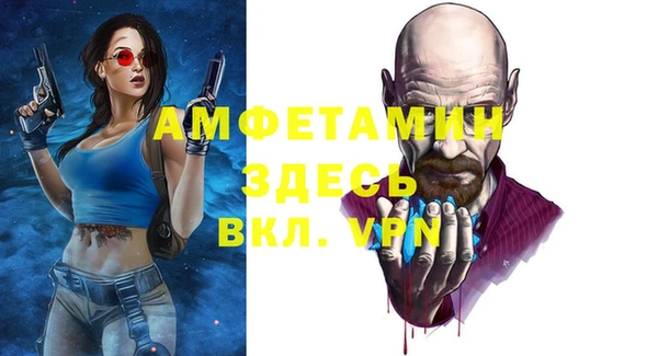 индика Абаза