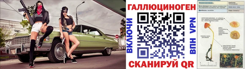 Псилоцибиновые грибы Cubensis  где купить   Николаевск-на-Амуре 